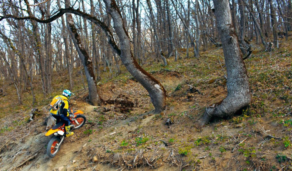 Safety First Riding In The Wilderness